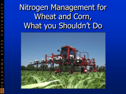 Nitrogen Management for Wheat and Corn, What you Shouldn’t Do Y
