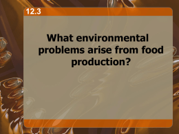 What environmental problems arise from food production? 12.3