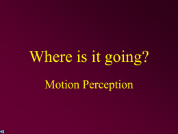 Where is it going? Motion Perception