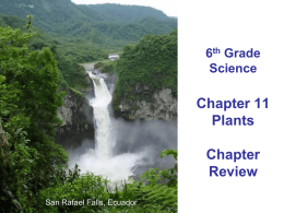 Chapter 11 Plants Chapter Review