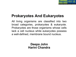 Prokaryotes And Eukaryotes