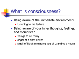 What is consciousness? Being aware of the immediate environment? and memories?
