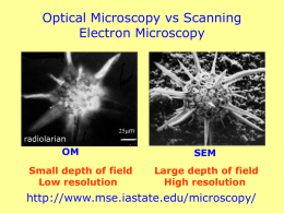 Optical Microscopy vs Scanning Electron Microscopy  OM
