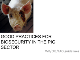 GOOD PRACTICES FOR BIOSECURITY IN THE PIG SECTOR WB/OIE/FAO guidelines