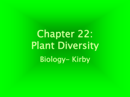 Chapter 22: Plant Diversity Biology- Kirby