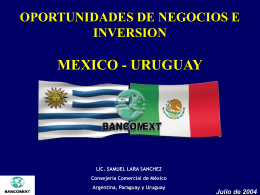 MEXICO - URUGUAY OPORTUNIDADES DE NEGOCIOS E INVERSION Julio de 2004