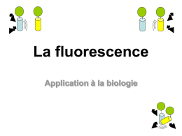 La fluorescence Application à la biologie