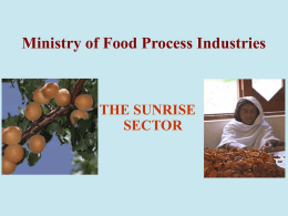 Ministry of Food Process Industries THE SUNRISE SECTOR