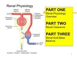 PART ONE PART TWO PART THREE Renal Physiology