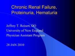 Chronic Renal Failure, Proteinuria, Hematuria Jeffrey T. Reisert, DO University of New England