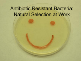 Antibiotic Resistant Bacteria: Natural Selection at Work