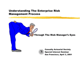 Understanding The Enterprise Risk Management Process Through The Risk Manager’s Eyes