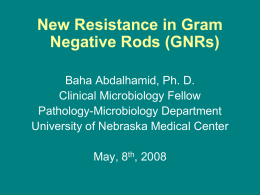 New Resistance in Gram Negative Rods (GNRs)