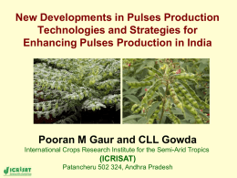 New Developments in Pulses Production Technologies and Strategies for