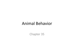 Animal Behavior Chapter 35
