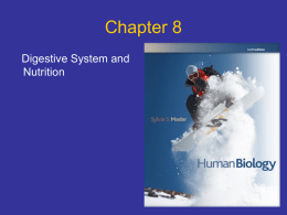 Chapter 8 Digestive System and Nutrition