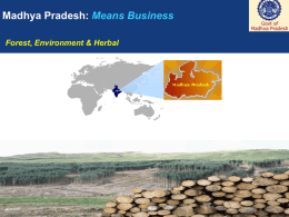 Madhya Pradesh: Means Business Forest, Environment &amp; Herbal 1