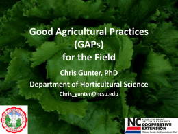 Good Agricultural Practices (GAPs) for the Field Chris Gunter, PhD