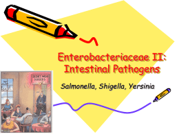 Enterobacteriaceae II: Intestinal Pathogens Salmonella, Shigella, Yersinia