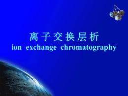 离 子 交 换 层 析 ion  exchange  chromatography