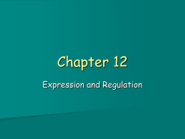Chapter 12 Expression and Regulation