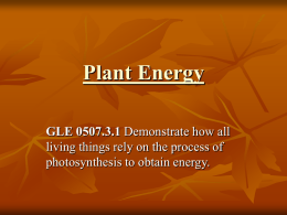 Plant Energy GLE 0507.3.1 living things rely on the process of