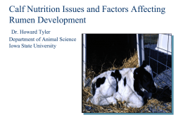 Calf Nutrition Issues and Factors Affecting Rumen Development Dr. Howard Tyler