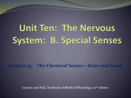 Chapter 53:    The Chemical Senses—Taste and Smell edition th
