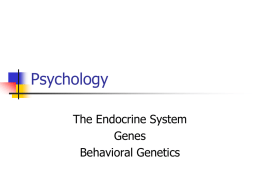 Psychology The Endocrine System Genes Behavioral Genetics