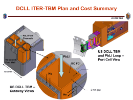 DCLL ITER-TBM Plan and Cost Summary US DCLL TBM – and PbLi Loop
