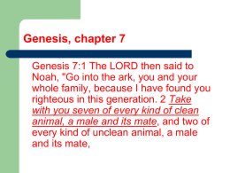 Genesis, chapter 7