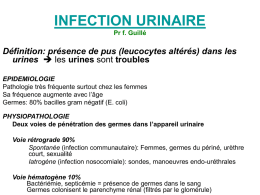 INFECTION URINAIRE Définition: présence de pus (leucocytes altérés) dans les urines