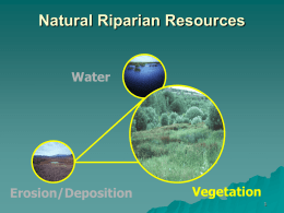 Natural Riparian Resources Water Erosion/Deposition Vegetation