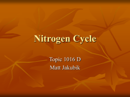 Nitrogen Cycle Topic 1016 D Matt Jakubik