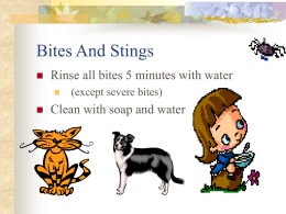 Bites And Stings Rinse all bites 5 minutes with water