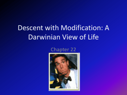 Descent with Modification: A Darwinian View of Life Chapter 22