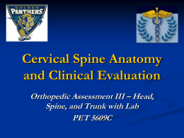 Cervical Spine Anatomy and Clinical Evaluation Orthopedic Assessment III – Head,