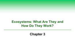 Ecosystems: What Are They and How Do They Work? Chapter 3