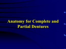 Anatomy for Complete and Partial Dentures