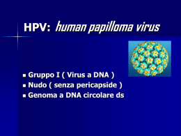 human papilloma virus HPV: Gruppo I ( Virus a DNA )