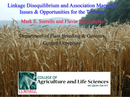 Linkage Disequilibrium and Association Mapping: Issues &amp; Opportunities for the Triticeae
