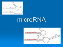 microRNA