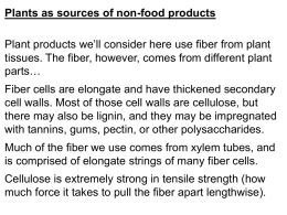 Plants as sources of non-food products