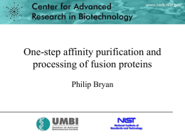 One-step affinity purification and processing of fusion proteins Philip Bryan