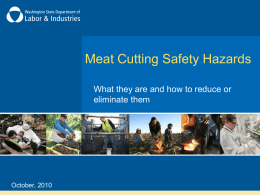 Meat Cutting Safety Hazards eliminate them October, 2010