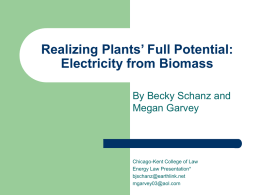 Realizing Plants’ Full Potential: Electricity from Biomass By Becky Schanz and Megan Garvey