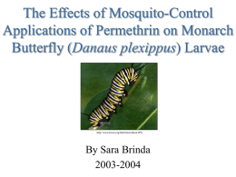 The Effects of Mosquito-Control Applications of Permethrin on Monarch Danaus plexippus