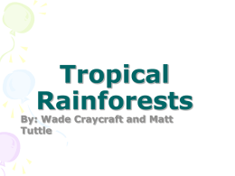 Tropical Rainforests By: Wade Craycraft and Matt Tuttle