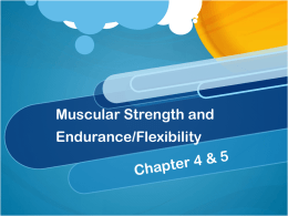 Muscular Strength and Endurance/Flexibility