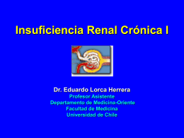 Insuficiencia Renal Crónica I Dr. Eduardo Lorca Herrera Profesor Asistente Departamento de Medicina-Oriente